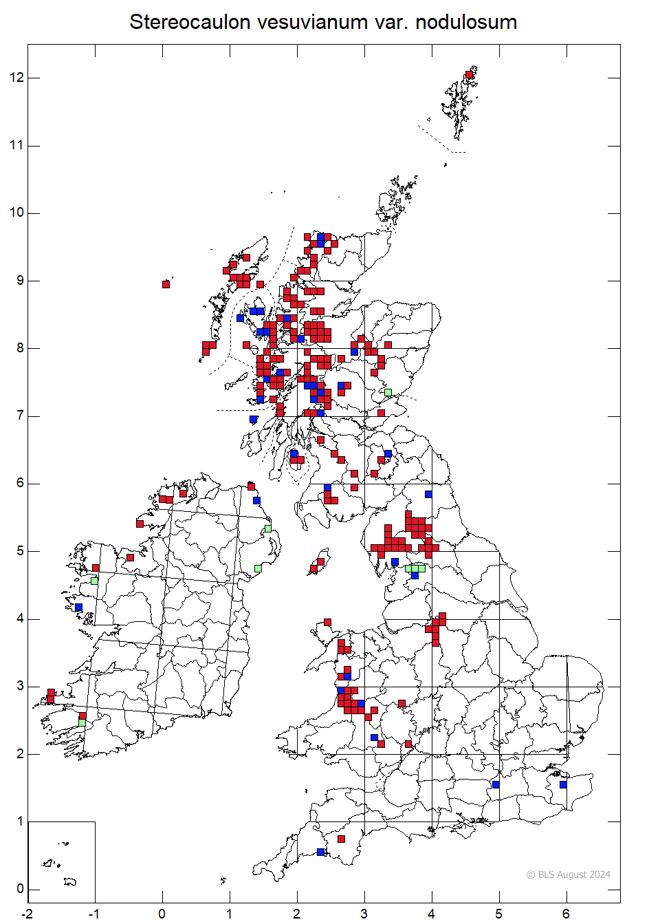 stereocaulon-vesuvianum-var-nodulosum-the-british-lichen-society